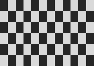 Actual fixed checkerboard input used by the simulation